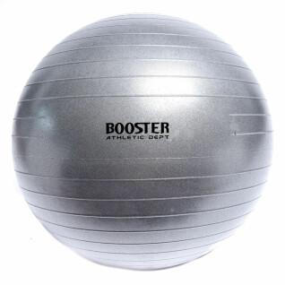 Gymnastikball Booster Fight Gear Athletic Dept