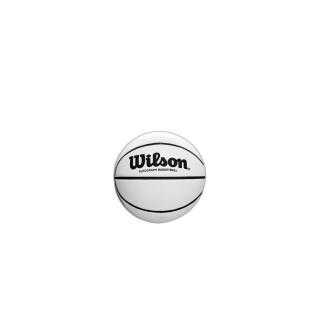 Ballon NBA Autograph Mini