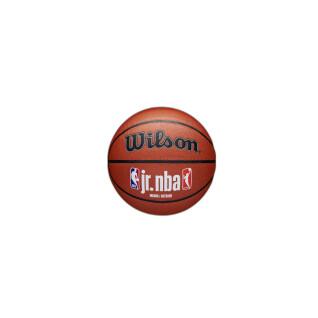 Basketball Wilson NBA Fam