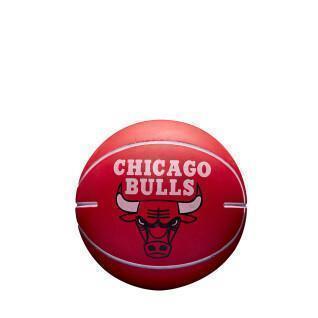 Ballon NBA  Dr ibbler Chicago Bulls