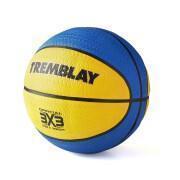 Basketball Tremblay CT
