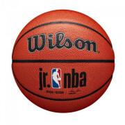 Ballon Wilson JR NBA Authentic Indoor/outdoor