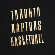 Vintage-Kapuzen-Sweatshirt Toronto Raptors 2.0