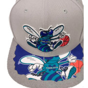 Snapback Cap Charlotte Hornets