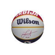 Basketball Wilson NBA Player Local Jokic